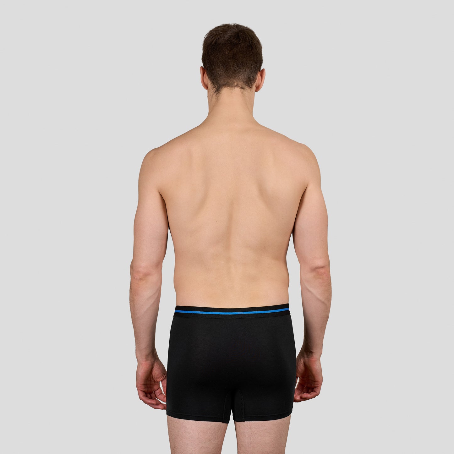 DM Modal Boxer