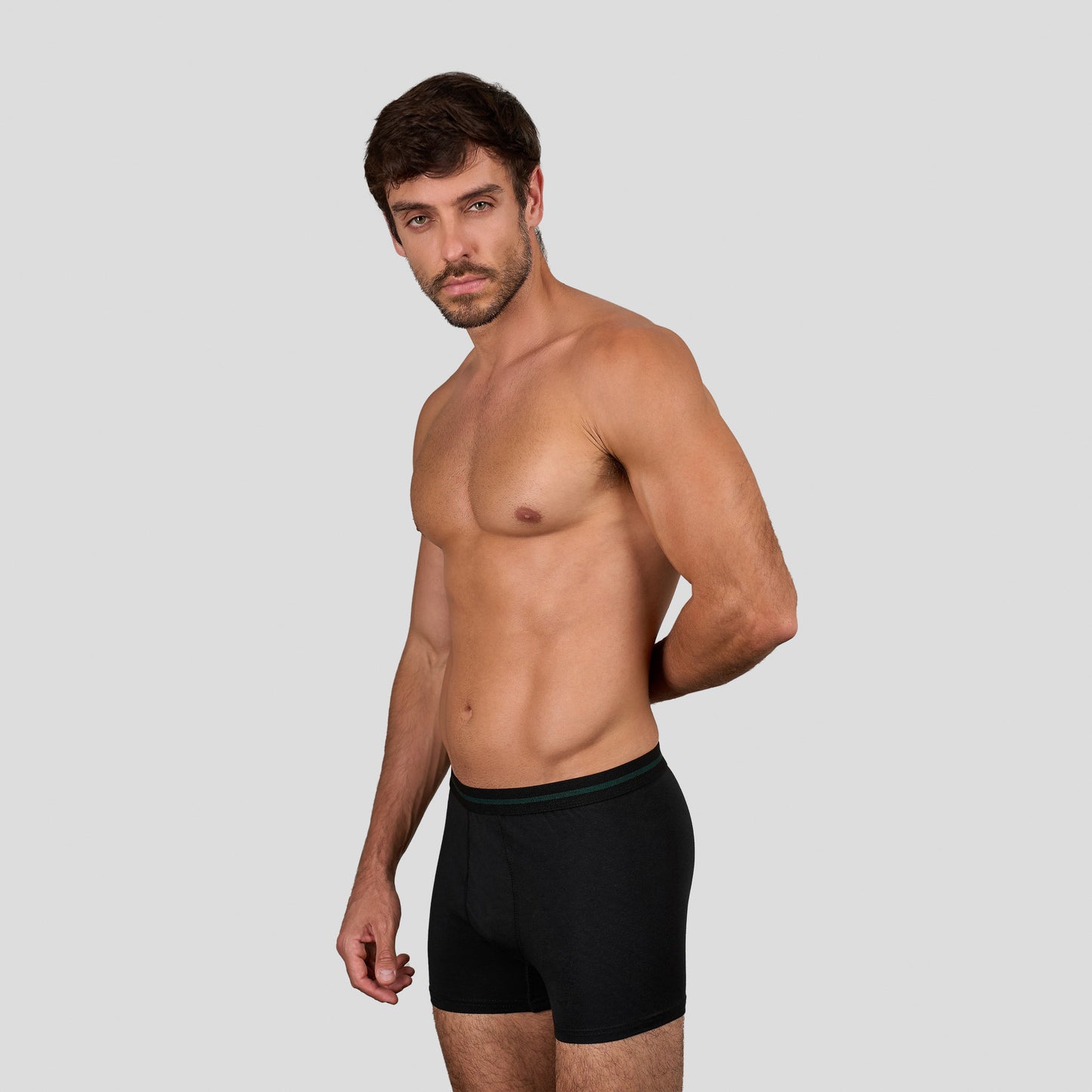 DM Modal Boxer