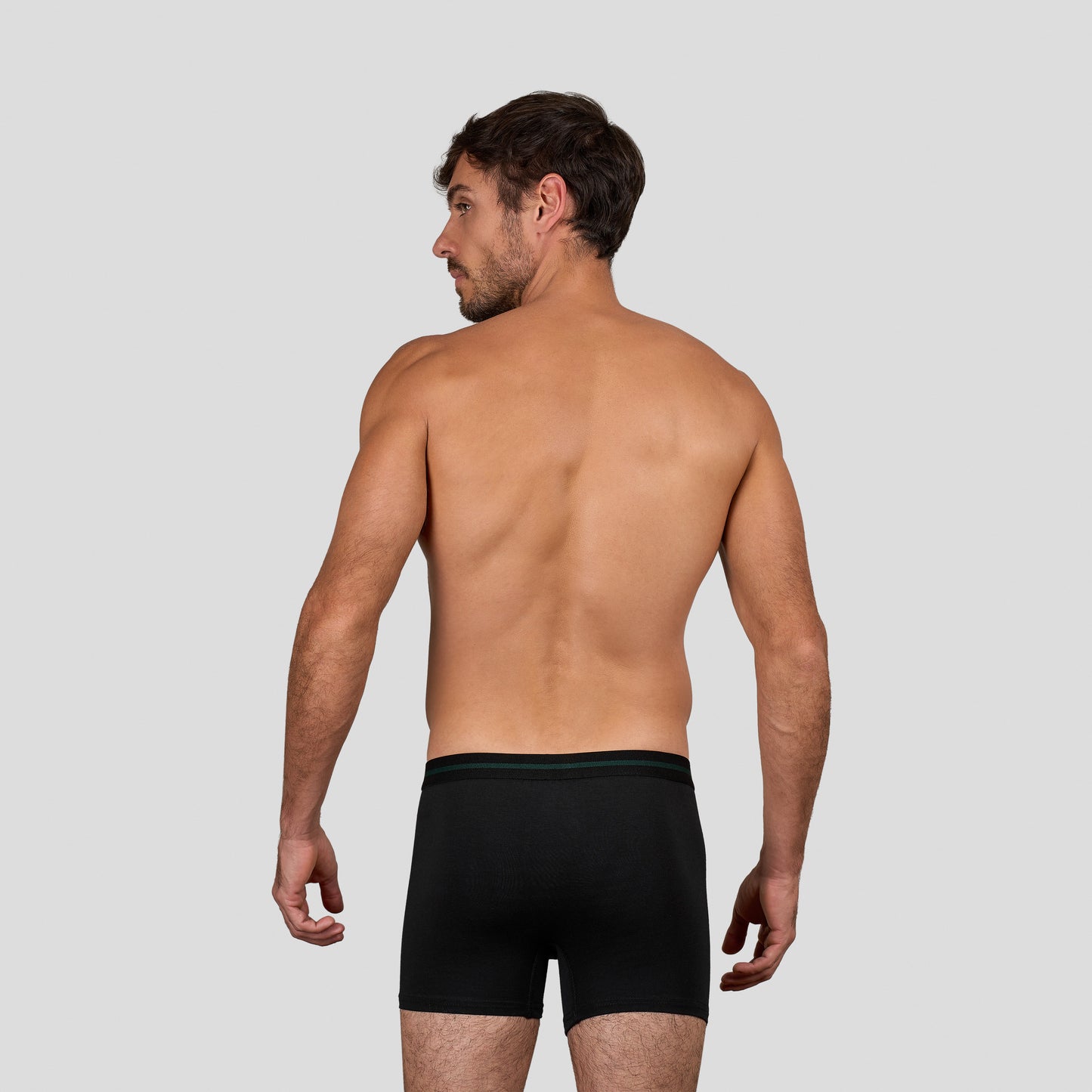 DM Modal Boxer