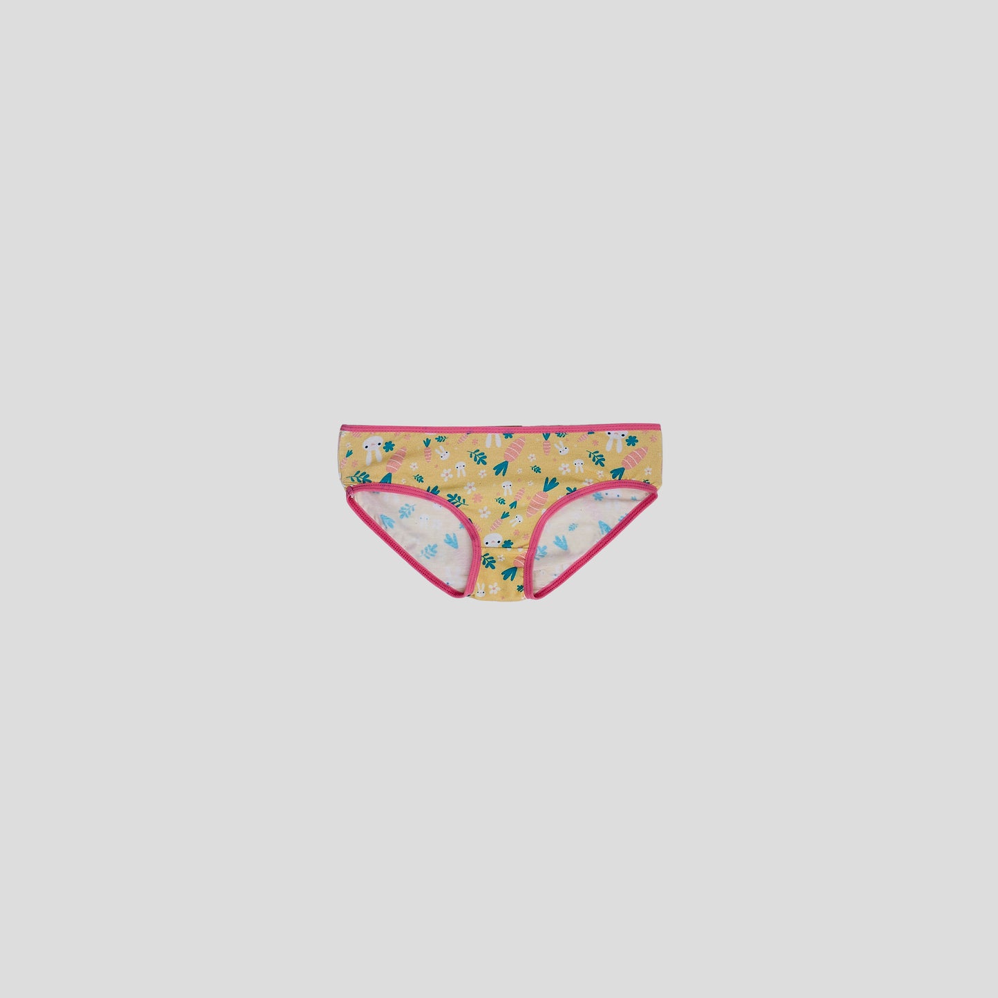 DKG 123 Pack of 3 Printed Underwear for Girls