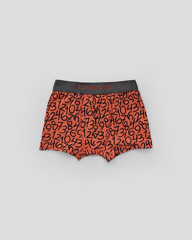 Printed Boxer Brief Pack Of 3