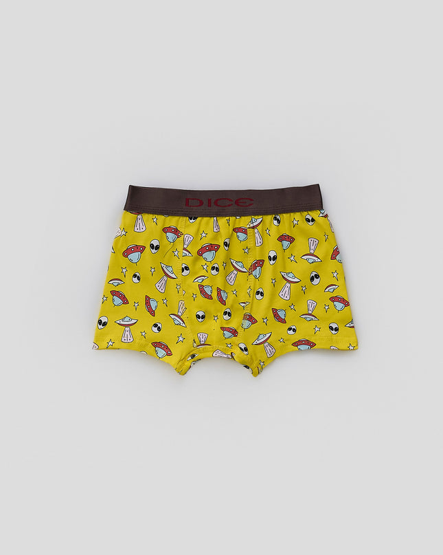 Printed Boxer Brief Pack Of 3
