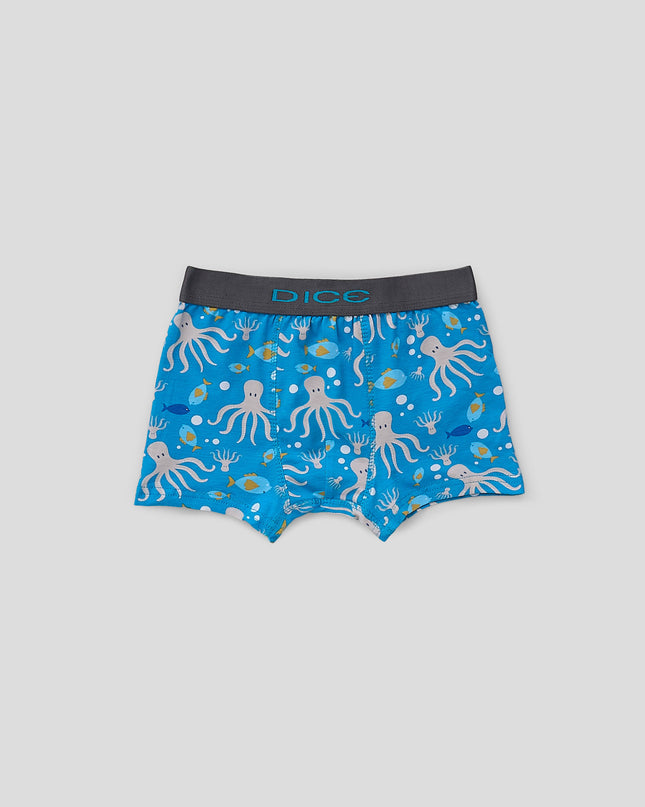 Printed Boxer Brief Pack Of 3